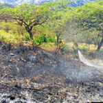 Incendios forestales aumentan en Azuay por transición a temporada seca
