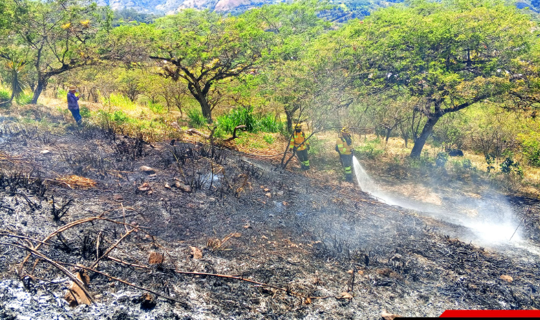 Incendios forestales aumentan en Azuay por transición a temporada seca