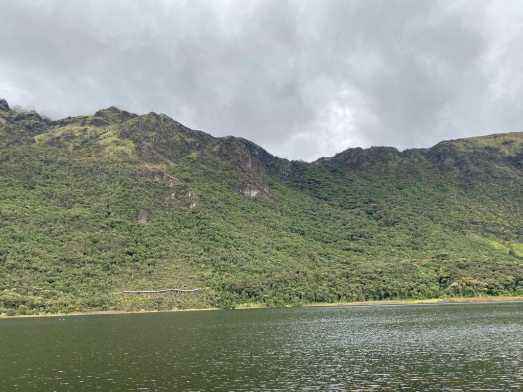 Restauración - Cajas